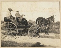 Two women and two dogs in a wagon