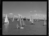 Sail boat races silhouetted by the open Lady's Island swing bridge