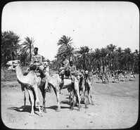 Caravan Leaving an Oasis in the Desert of Egypt.