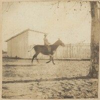 Man on horse in motion