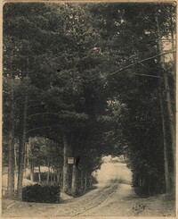 A wooded lane